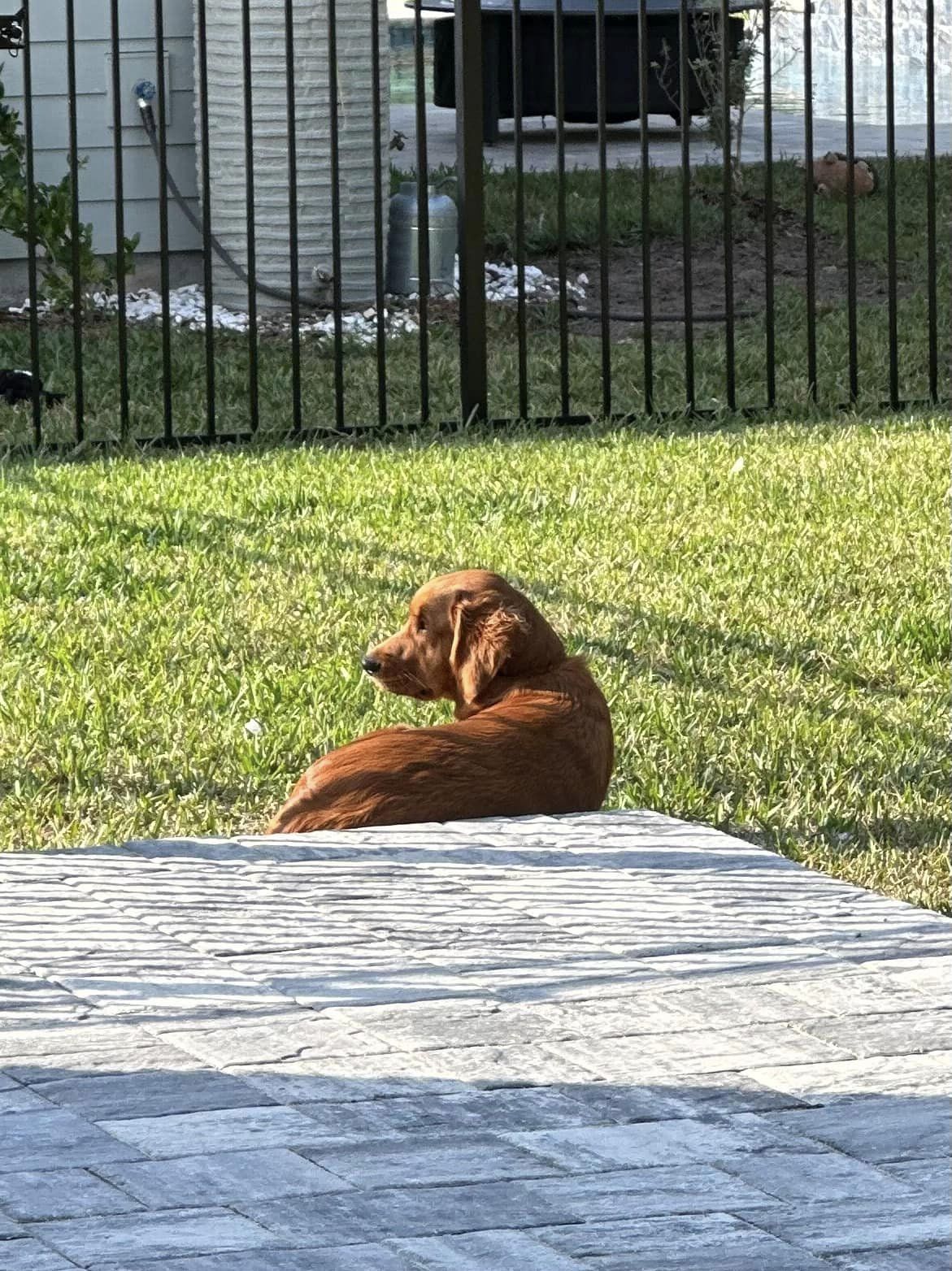 Riley’s Best Day Ever – Thu Nov 23, 2023