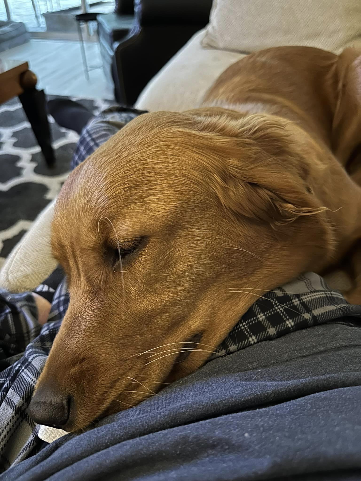 Riley’s Best Day Ever – Fri Nov 24, 2023