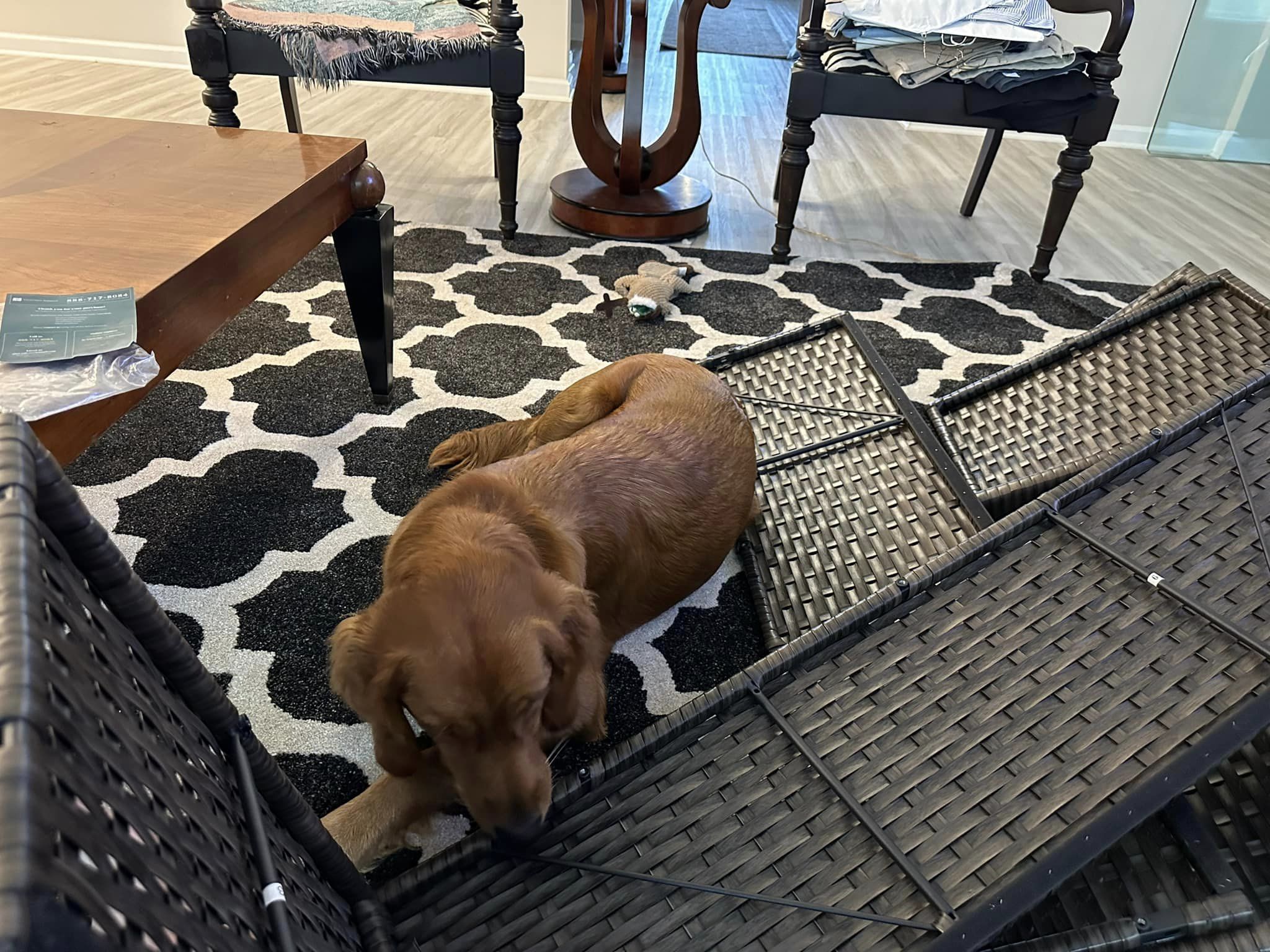 Riley’s Best Day Ever – Sat Nov 25, 2023