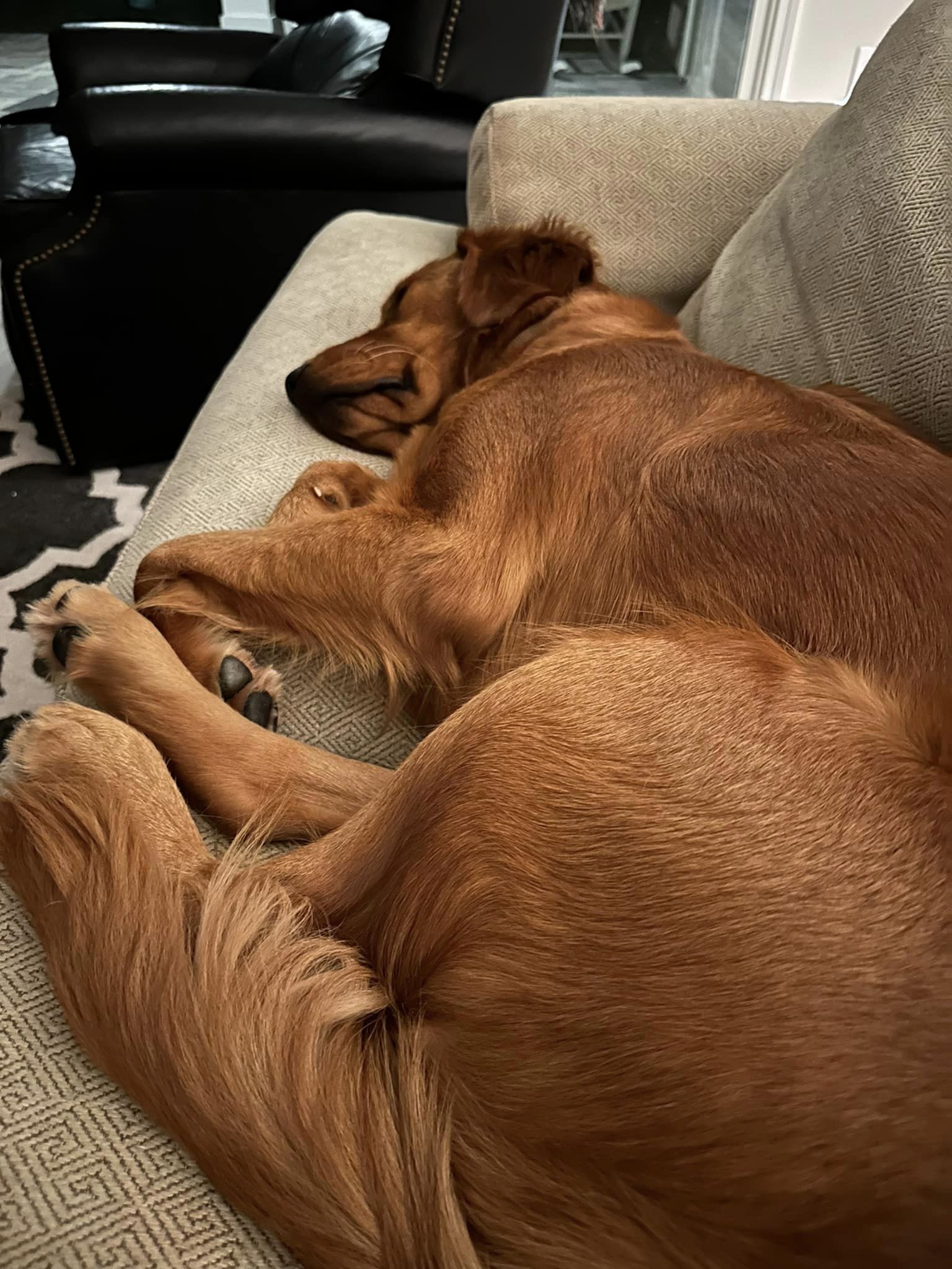 Riley’s Best Day Ever – Mon Nov 27, 2023