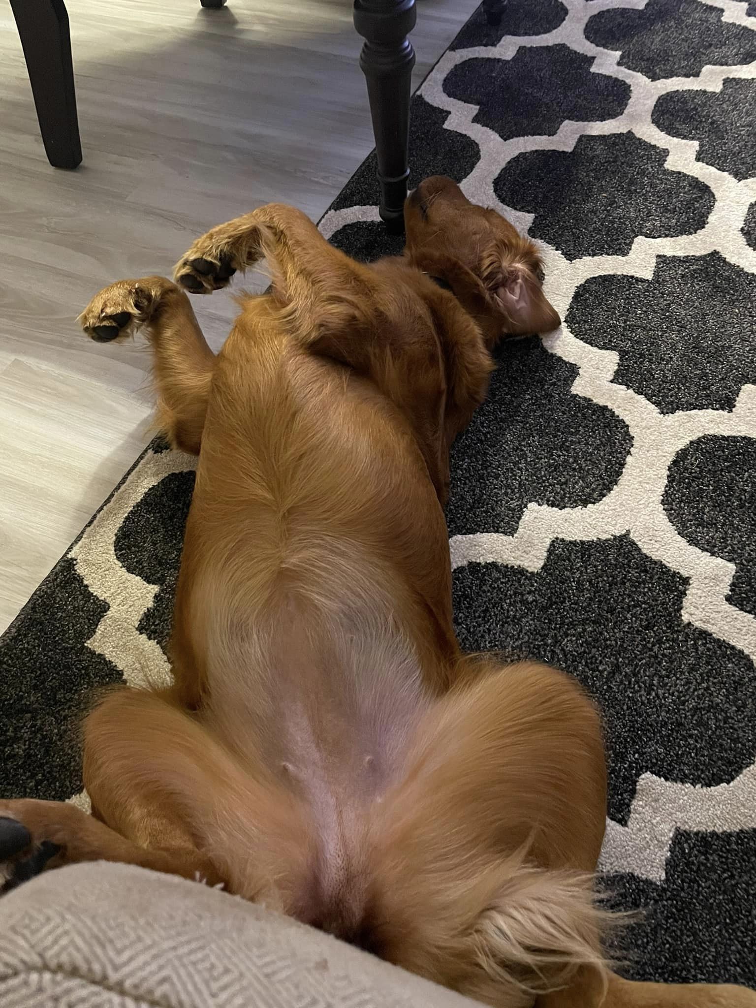 Riley’s Best Day Ever – Sun Nov 26, 2023