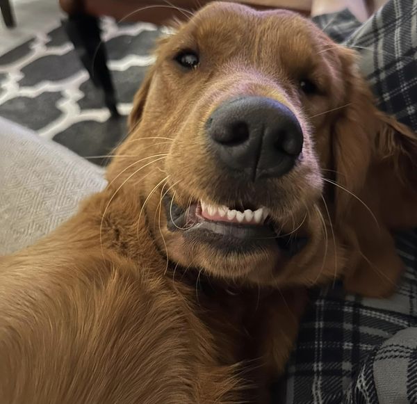 Riley’s Best Day Ever – Tue Nov 28, 2023