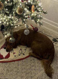 Riley’s Best Day Ever – Wed Nov 29, 2023