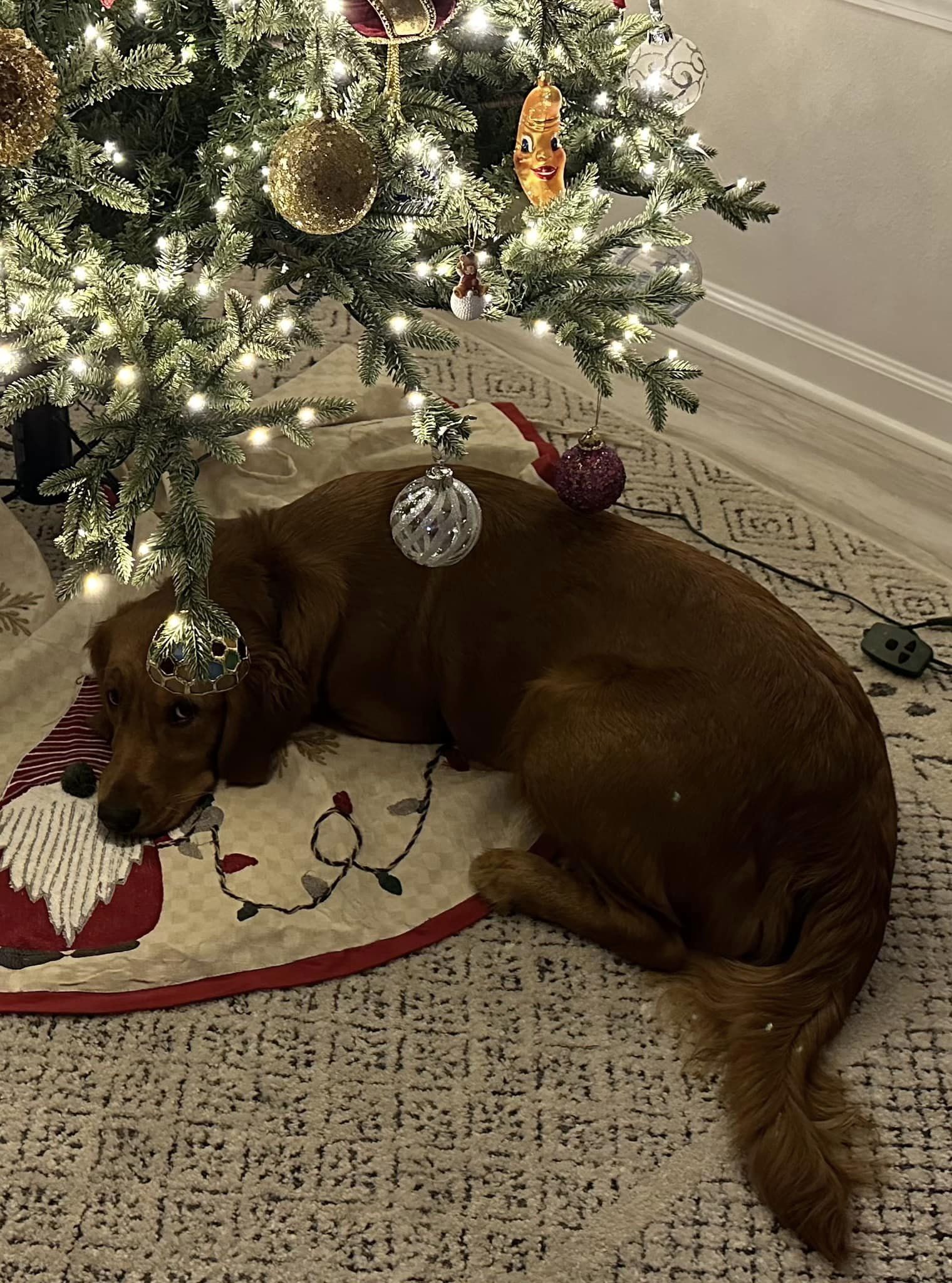 Riley’s Best Day Ever – Wed Nov 29, 2023