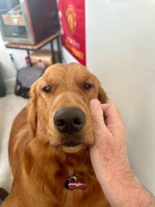 Riley’s Best Day Ever – Thu Nov 30, 2023