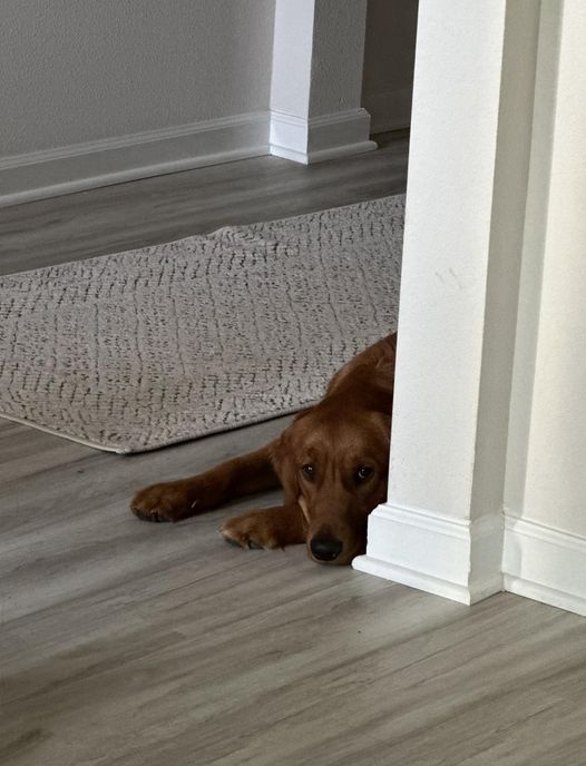 Riley’s Best Day Ever – Fri Dec 1, 2023