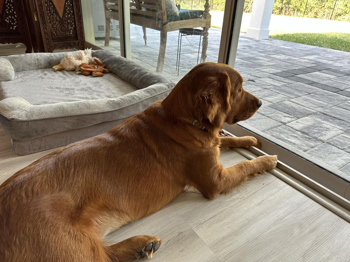 Riley’s Best Day Ever – Sat Dec 2, 2023