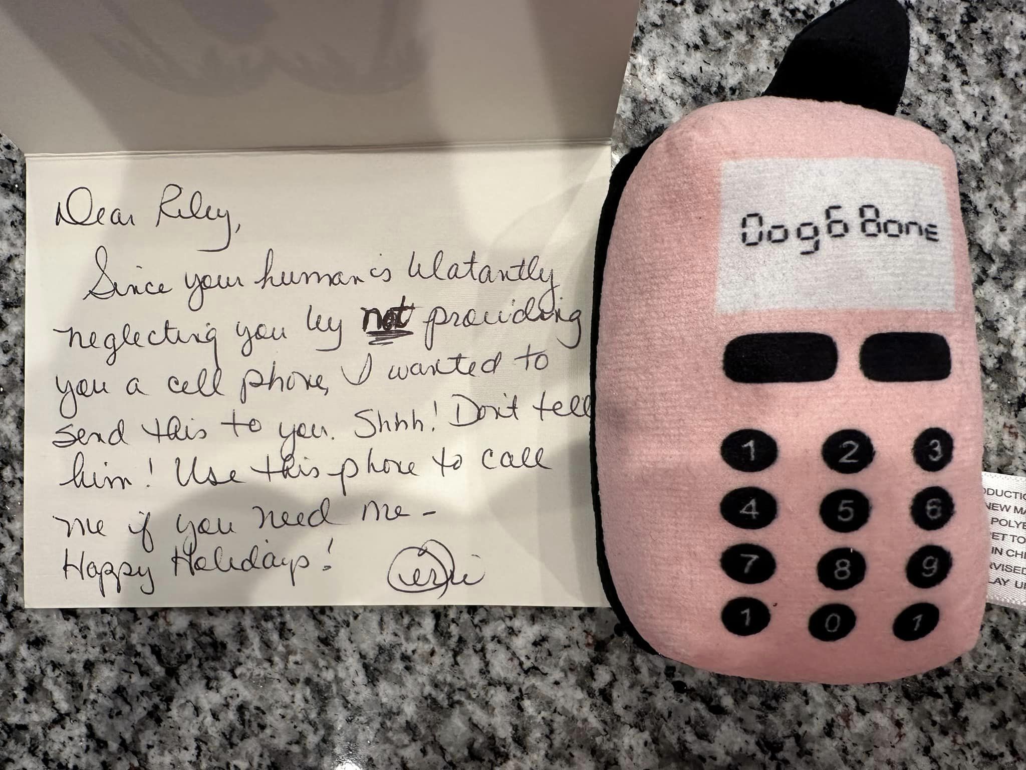 Riley’s Best Day Ever – Sun Dec 3, 2023