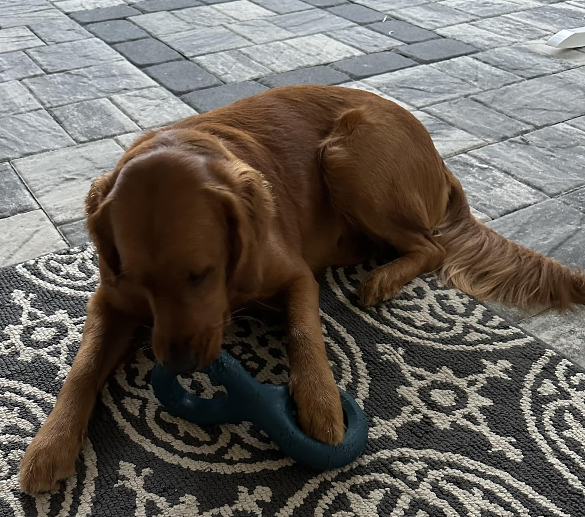 Riley’s Best Day Ever – Mon Dec 4, 2023