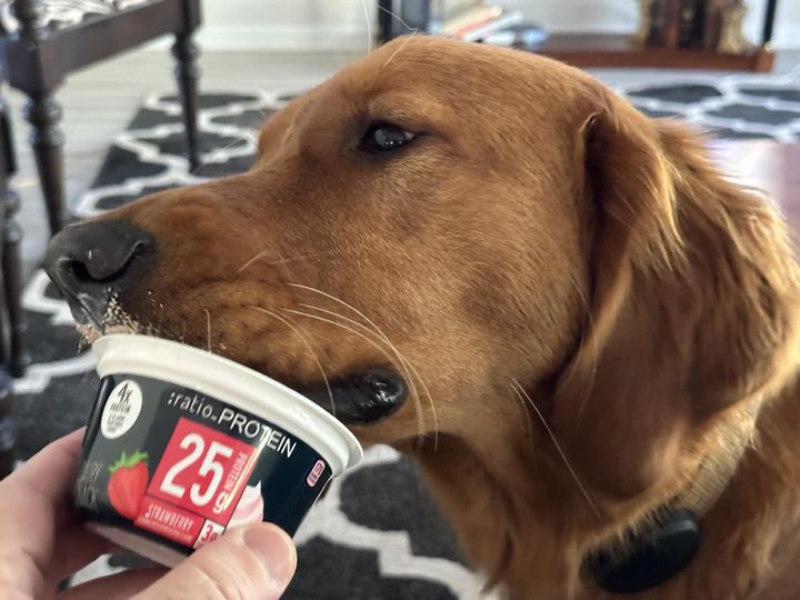 Riley’s Best Day Ever – Thu Dec 7, 2023