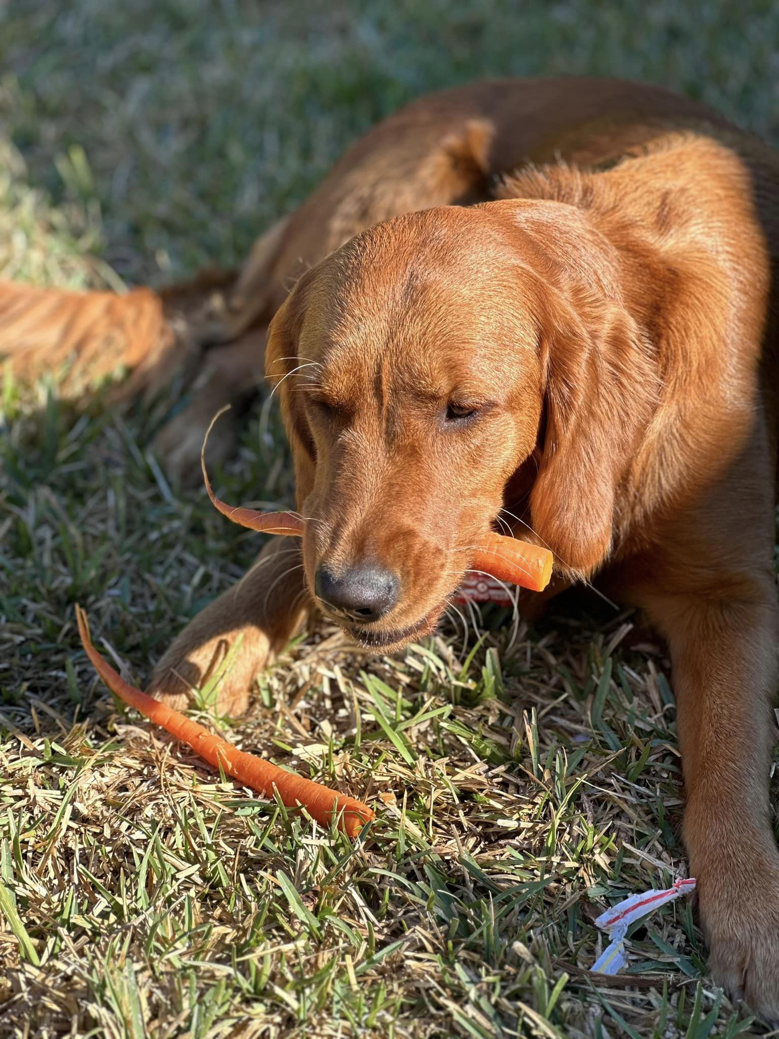 Riley’s Best Day Ever – Fri Dec 8, 2023