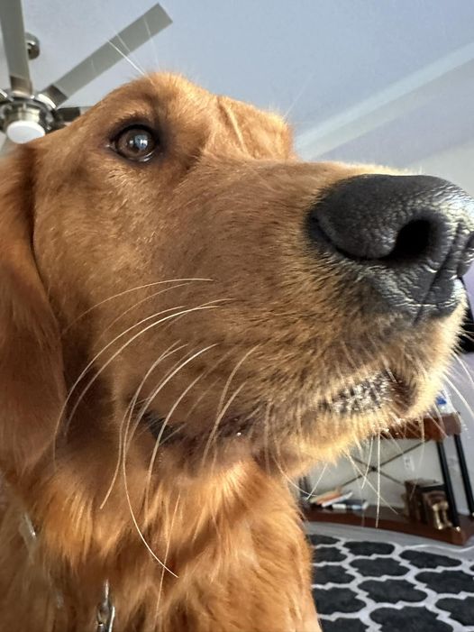 Riley’s Best Day Ever – Sat Dec 9, 2023