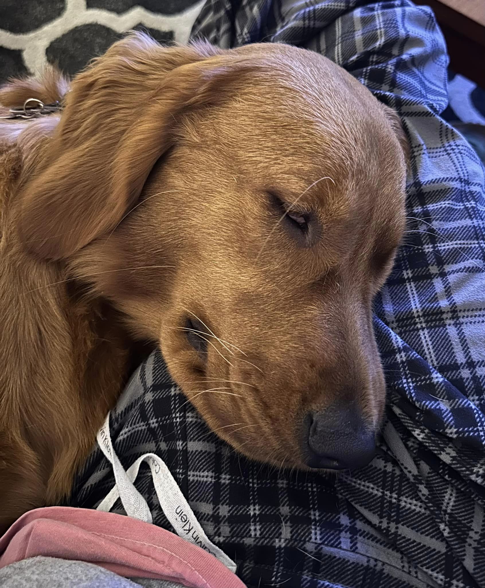 Riley’s Best Day Ever – Wed Dec 13, 2023