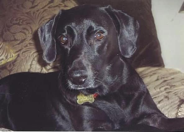 Riley’s Best Day Ever – Tue Dec 12, 2023