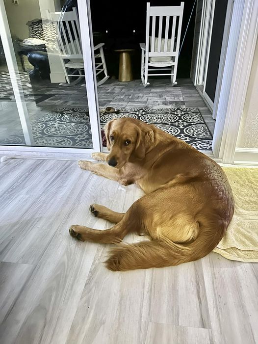 Riley’s Best Day Ever – Thu Dec 14, 2023