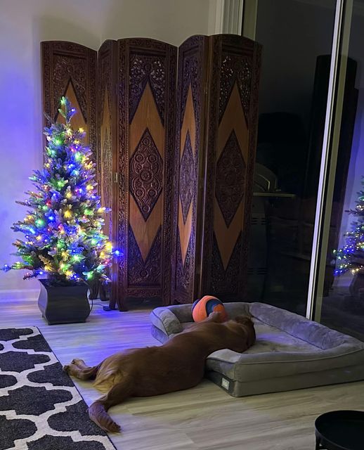 Riley’s Best Day Ever – Fri Dec 15, 2023