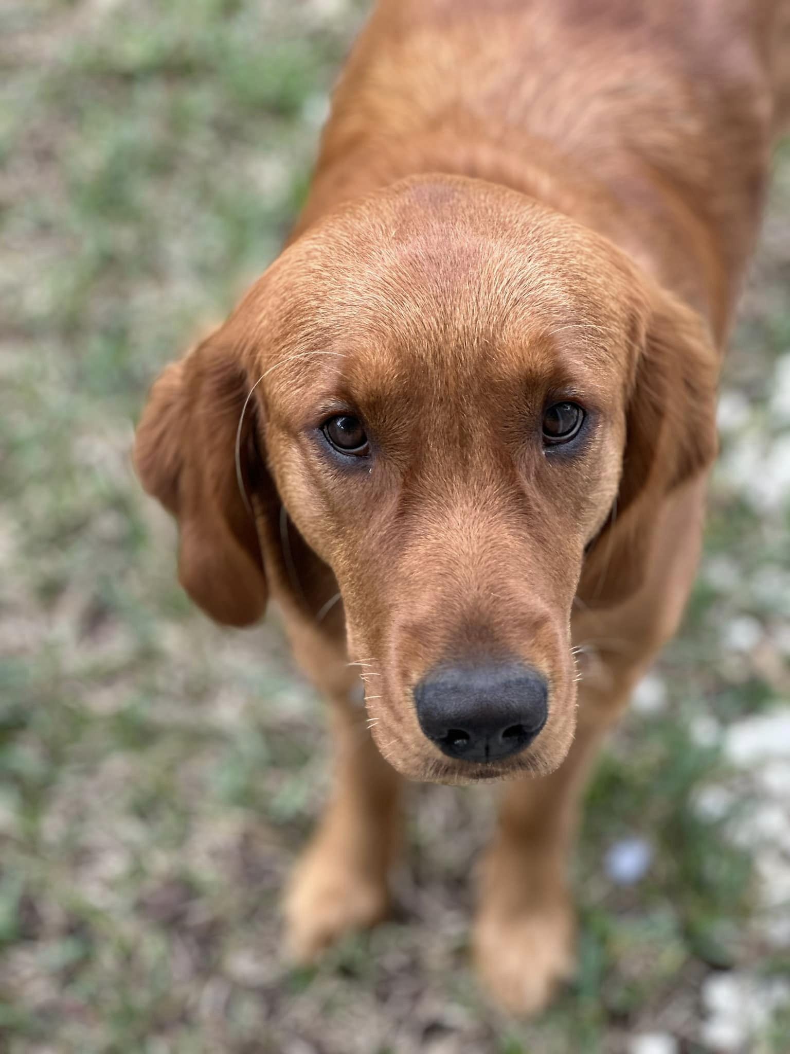 Riley’s Best Day Ever – Sat Dec 16, 2023