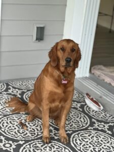 Riley’s Best Day Ever – Sun Dec 17, 2023
