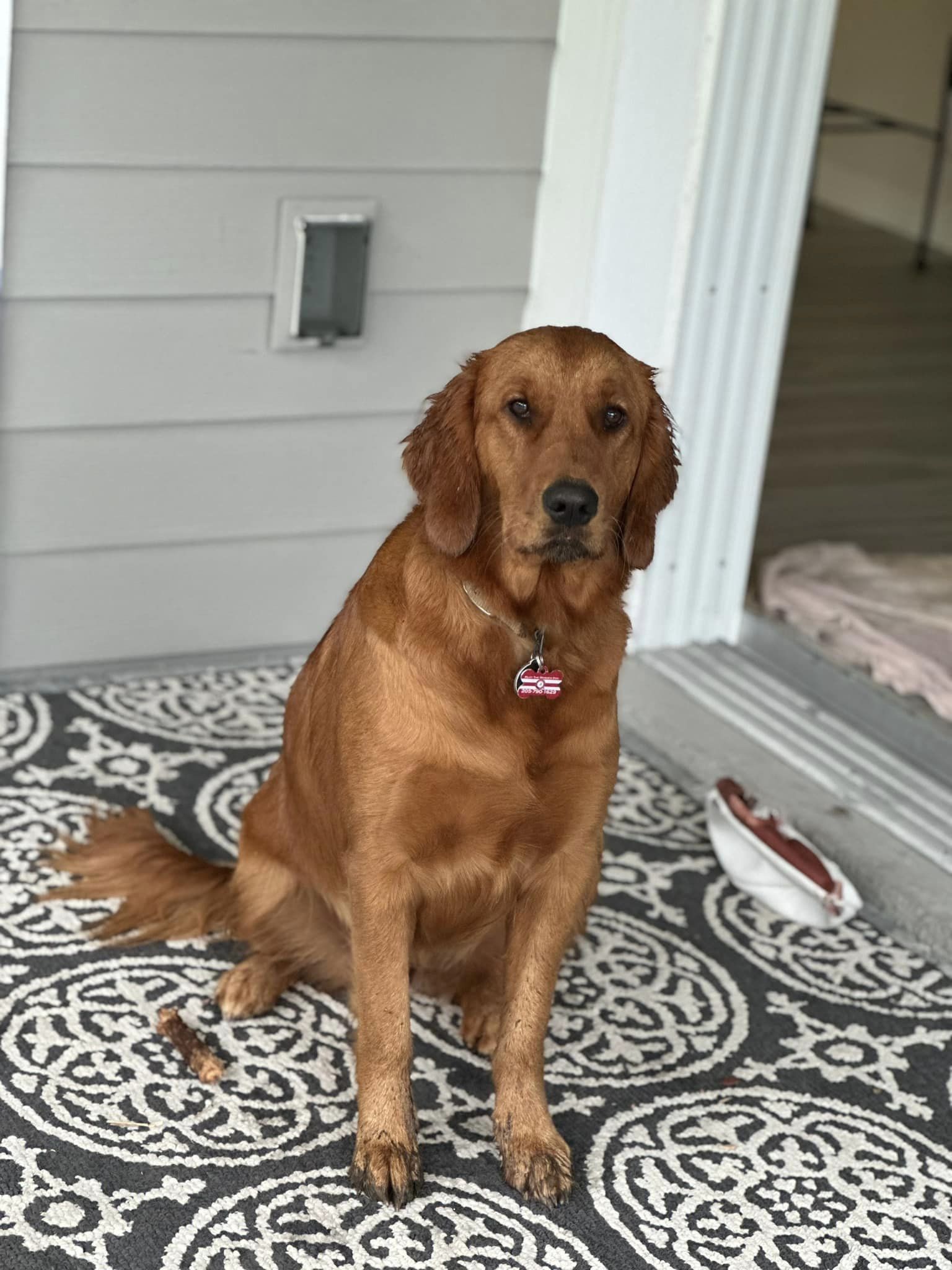 Riley’s Best Day Ever – Sun Dec 17, 2023