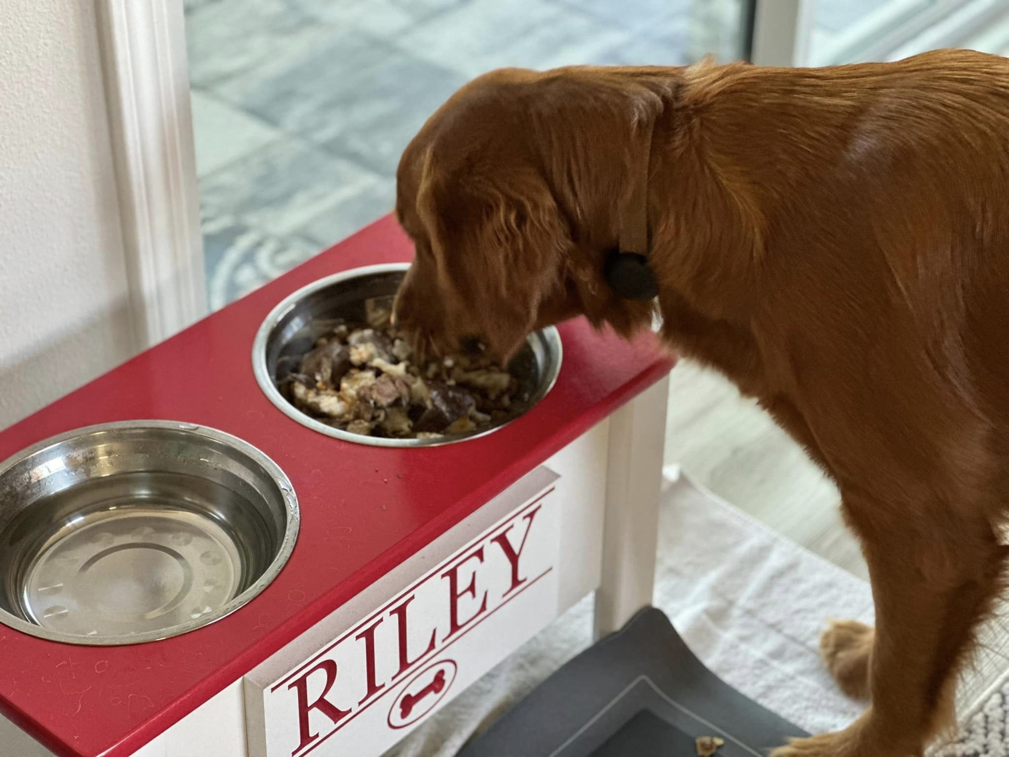 Riley’s Best Day Ever – Tue Dec 19, 2023