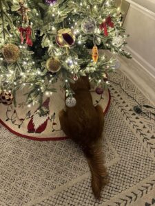 Riley’s Best Day Ever – Thu Dec 21, 2023