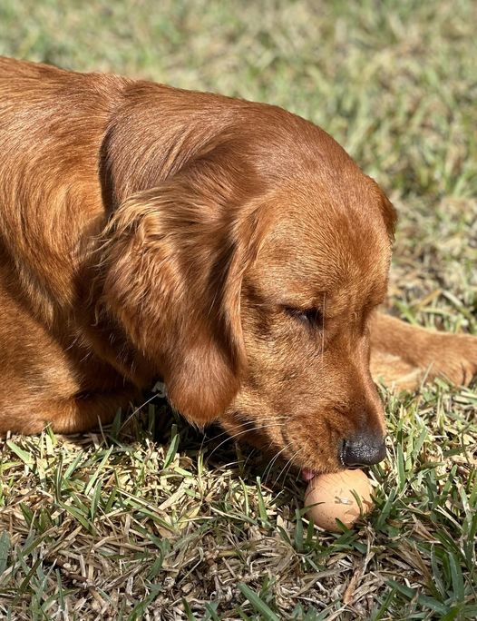 Riley’s Best Day Ever – Sun Dec 24, 2023