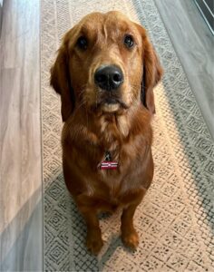 Riley’s Best Day Ever – Wed Dec 20, 2023