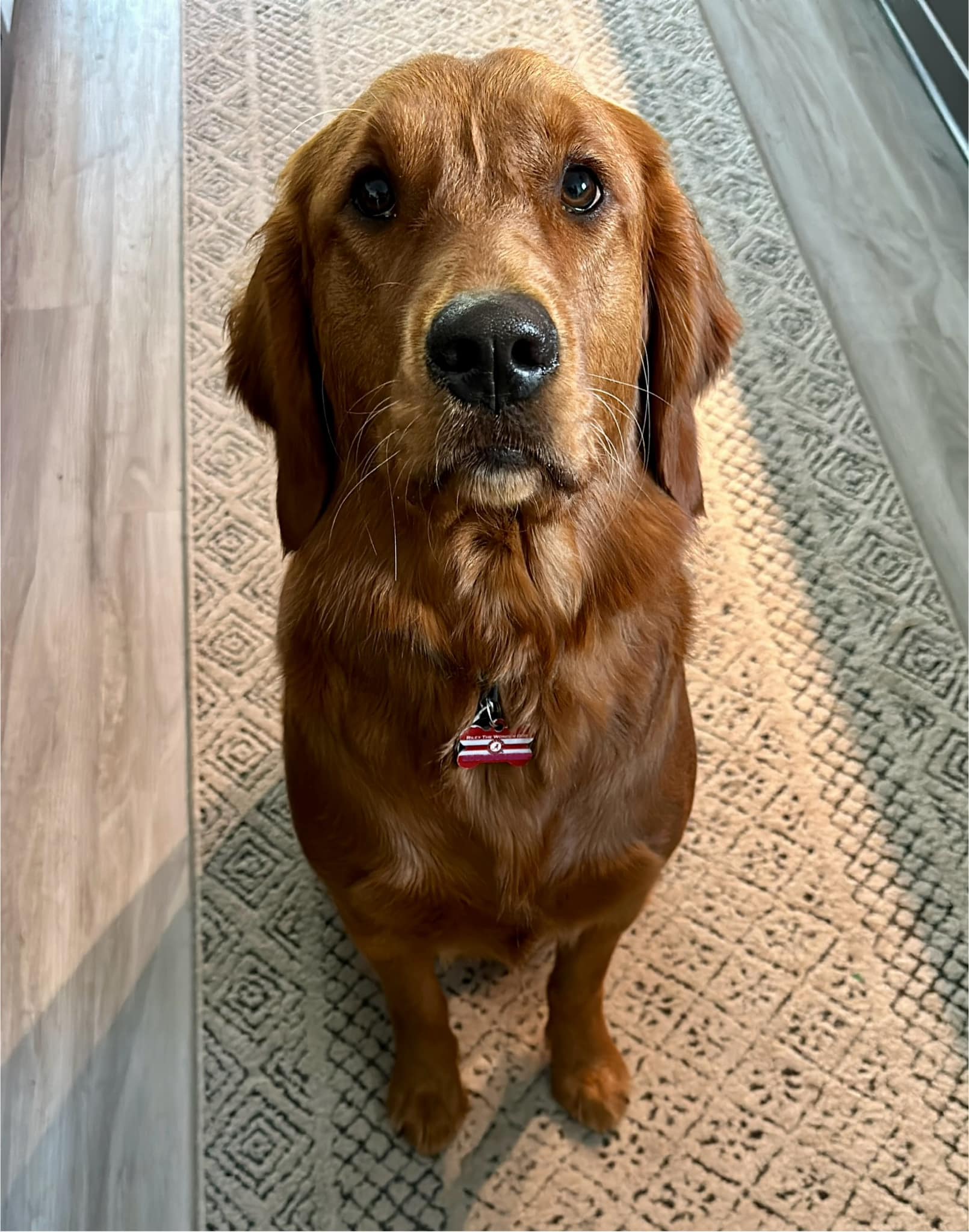 Riley’s Best Day Ever – Wed Dec 20, 2023