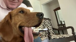 Riley’s Best Day Ever – Mon Dec 25, 2023