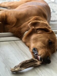 Riley’s Best Day Ever – Wed Dec 27, 2023