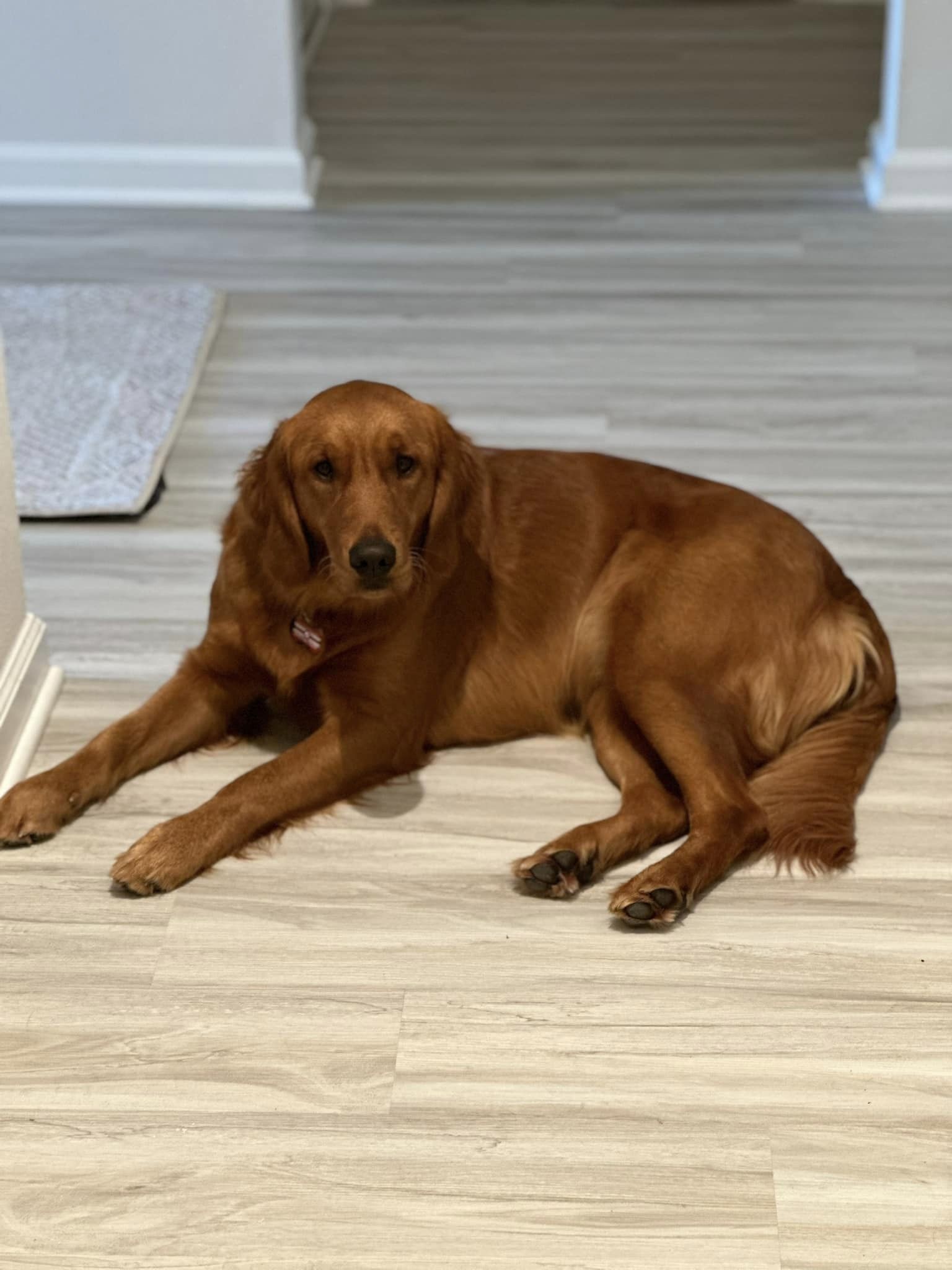 Riley’s Best Day Ever – Sat Dec 30, 2023