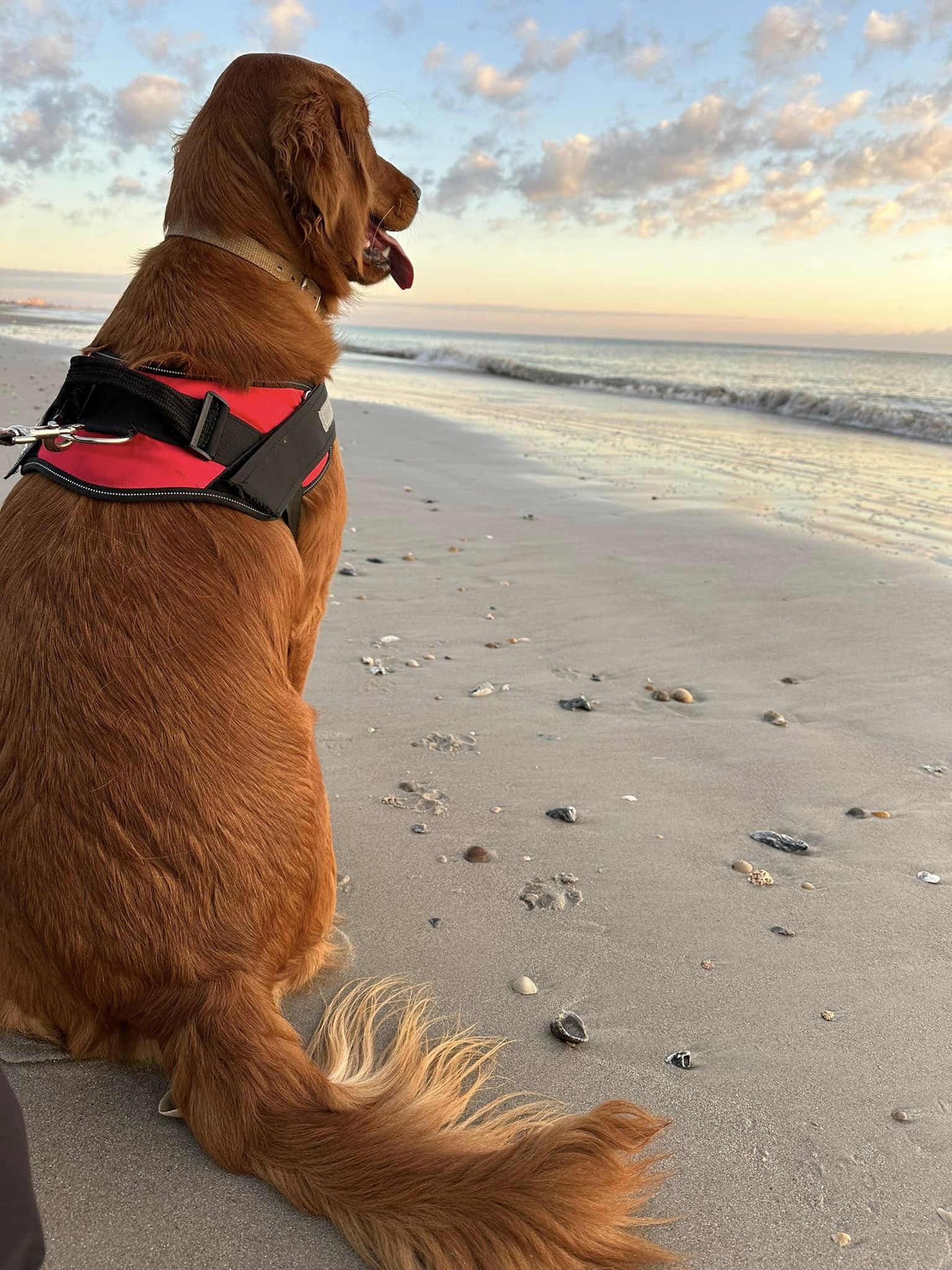 Riley’s Best Day Ever – Mon Jan 1, 2024