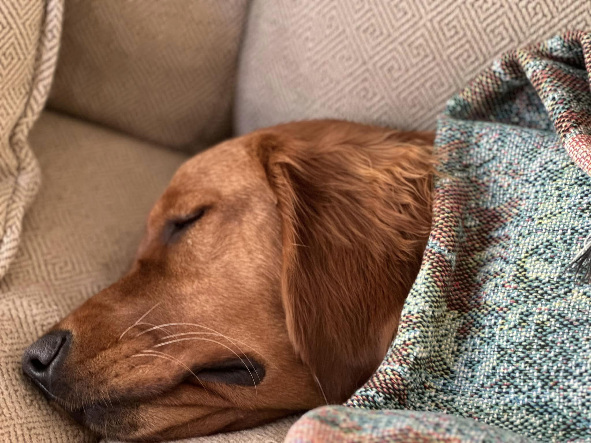 Riley’s Best Day Ever – Fri Jan 5, 2024