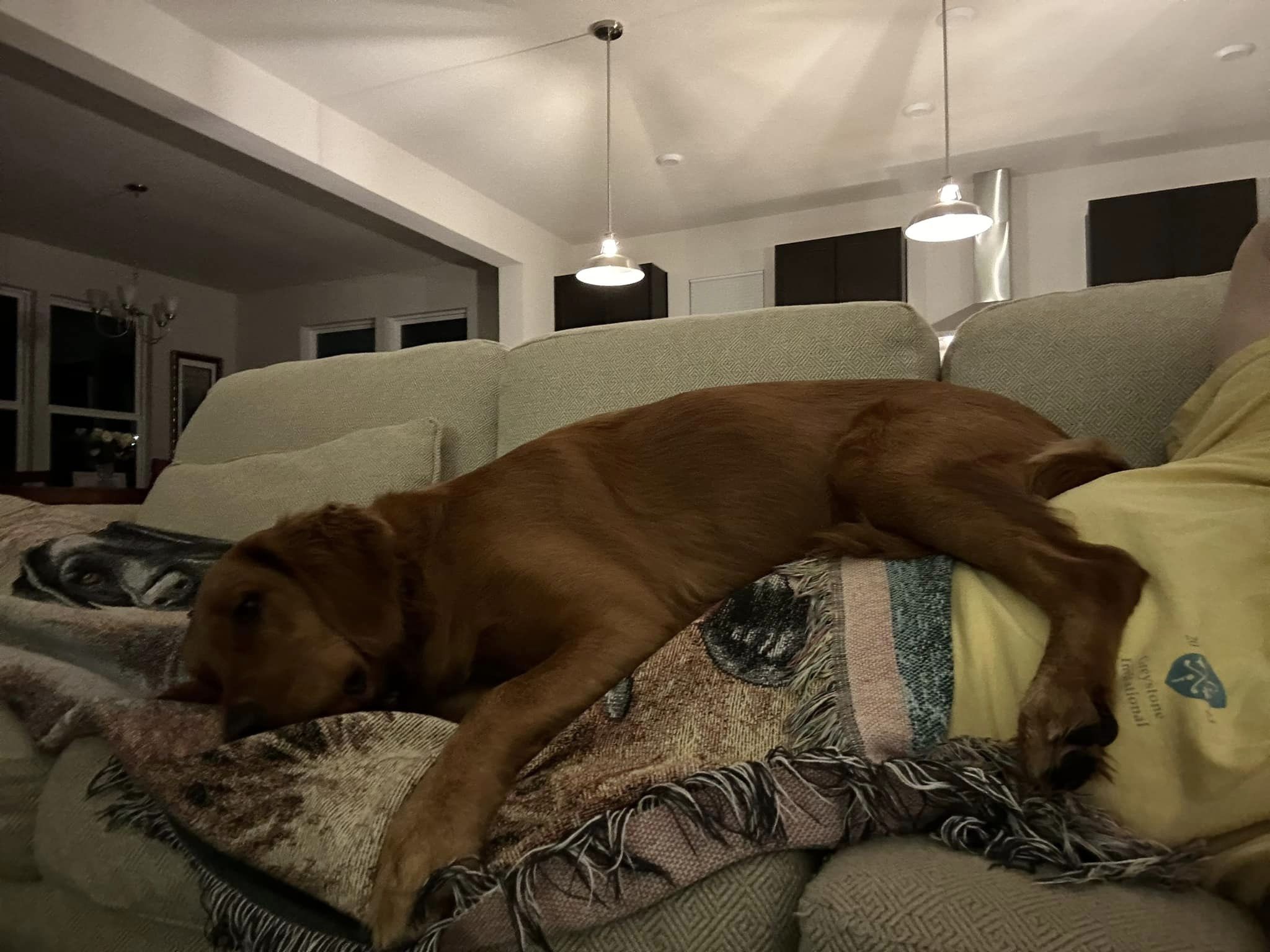 Riley’s Best Day Ever – Sat Jan 6, 2024