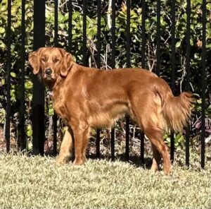 Riley’s Best Day Ever – Sun Jan 7, 2024