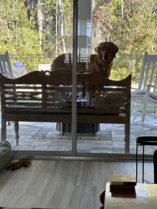 Riley’s Best Day Ever – Mon Jan 8, 2024