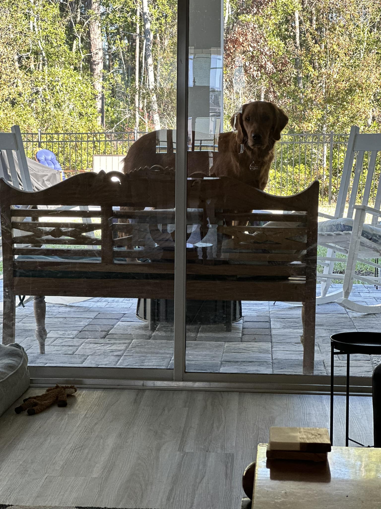 Riley’s Best Day Ever – Mon Jan 8, 2024