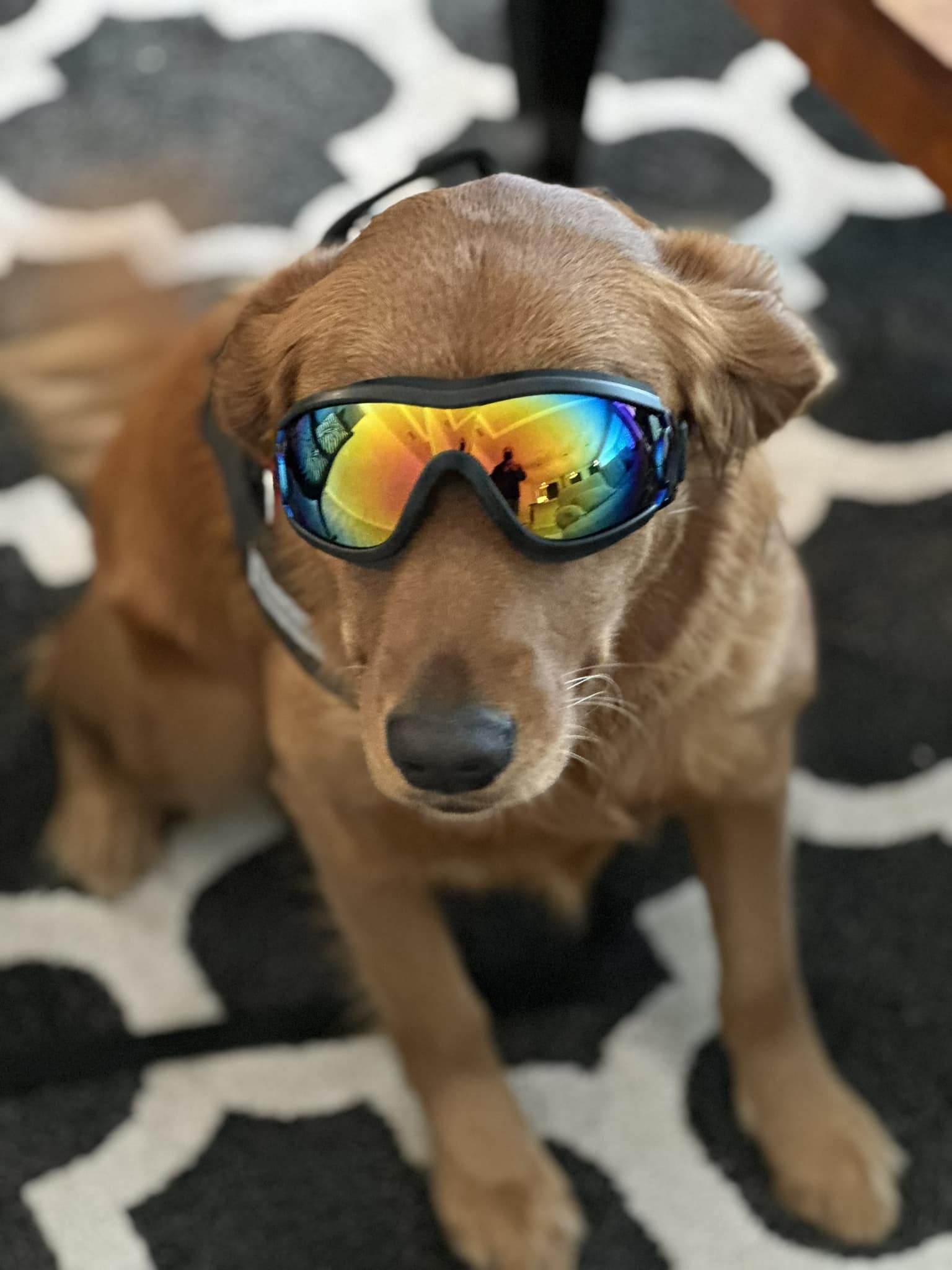 Riley’s Best Day Ever – Tues Jan 9, 2024