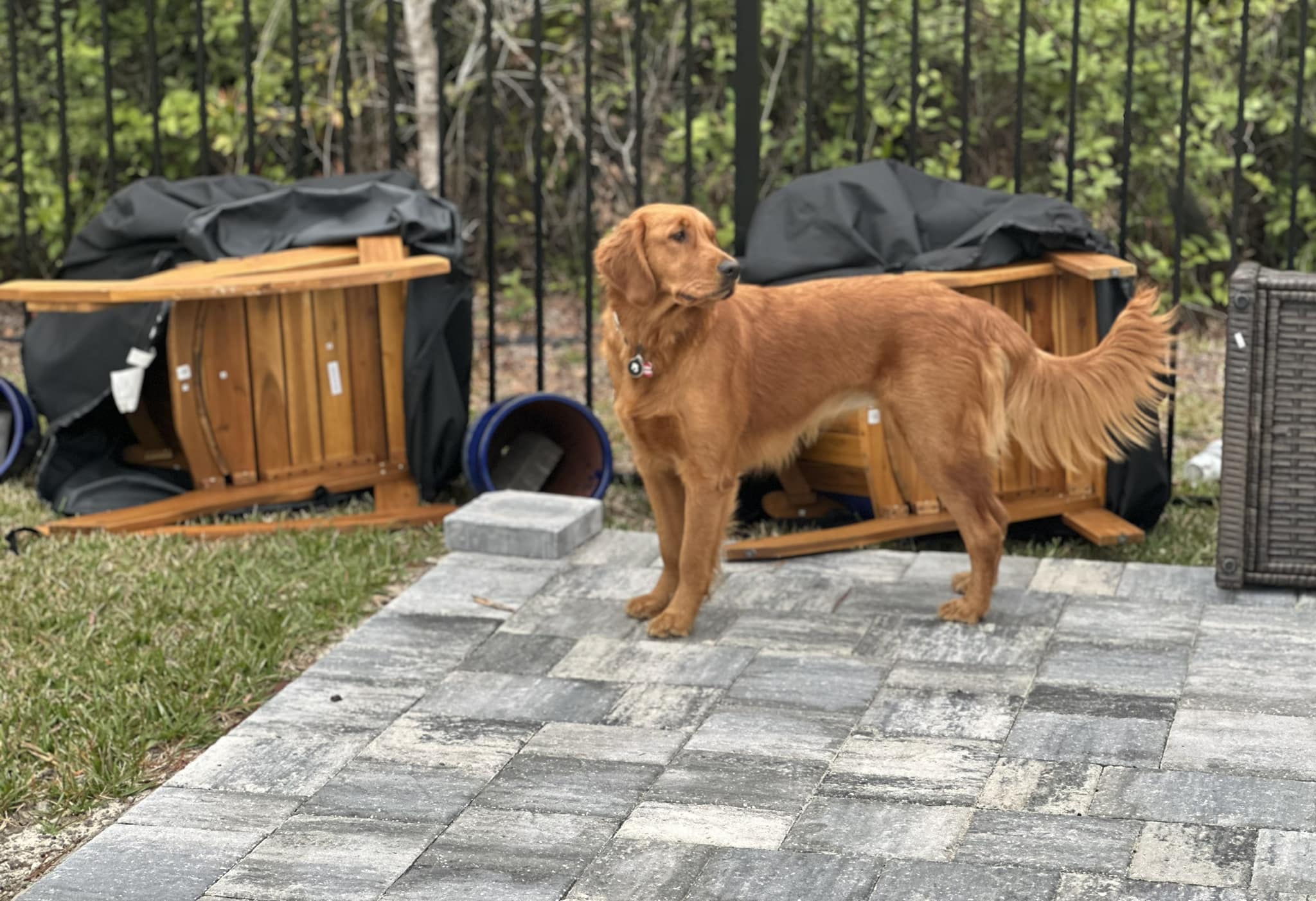 Riley’s Best Day Ever – Wed Jan 10, 2024