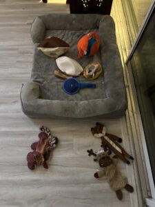 Riley’s Best Day Ever – Thu Jan 11, 2024