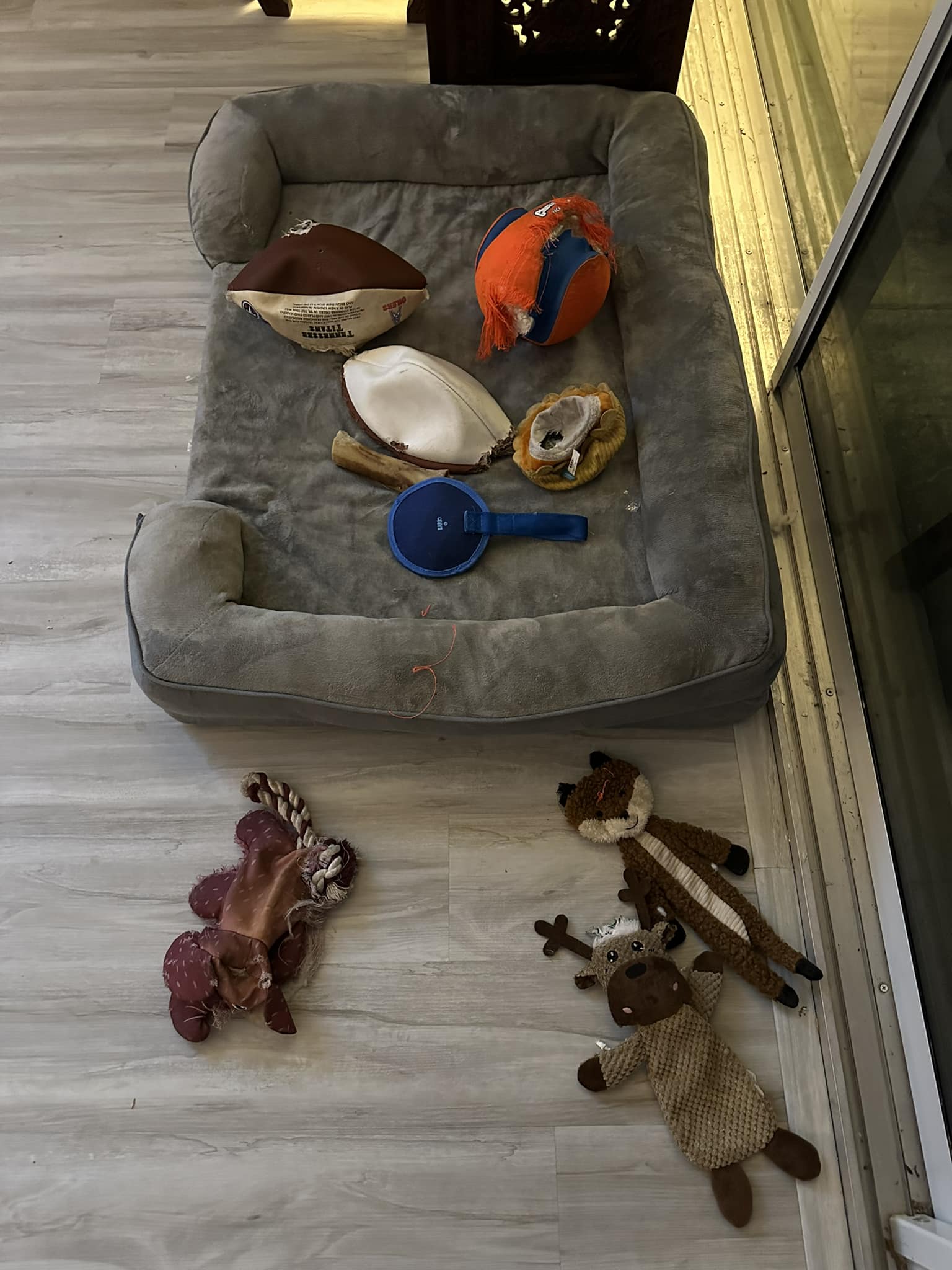 Riley’s Best Day Ever – Thu Jan 11, 2024