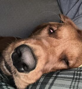 Riley’s Best Day Ever – Sun Mar 17, 2024