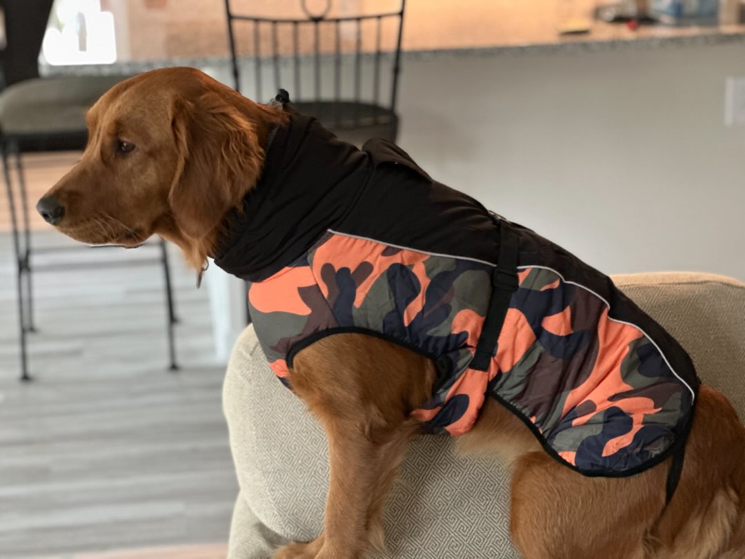Riley’s Best Day Ever – Fri Jan 19, 2024