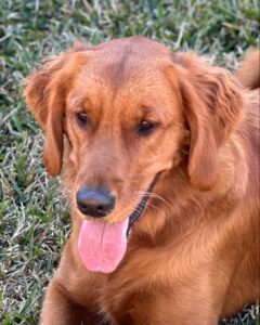 Riley’s Best Day Ever – Sun Jan 21, 2024