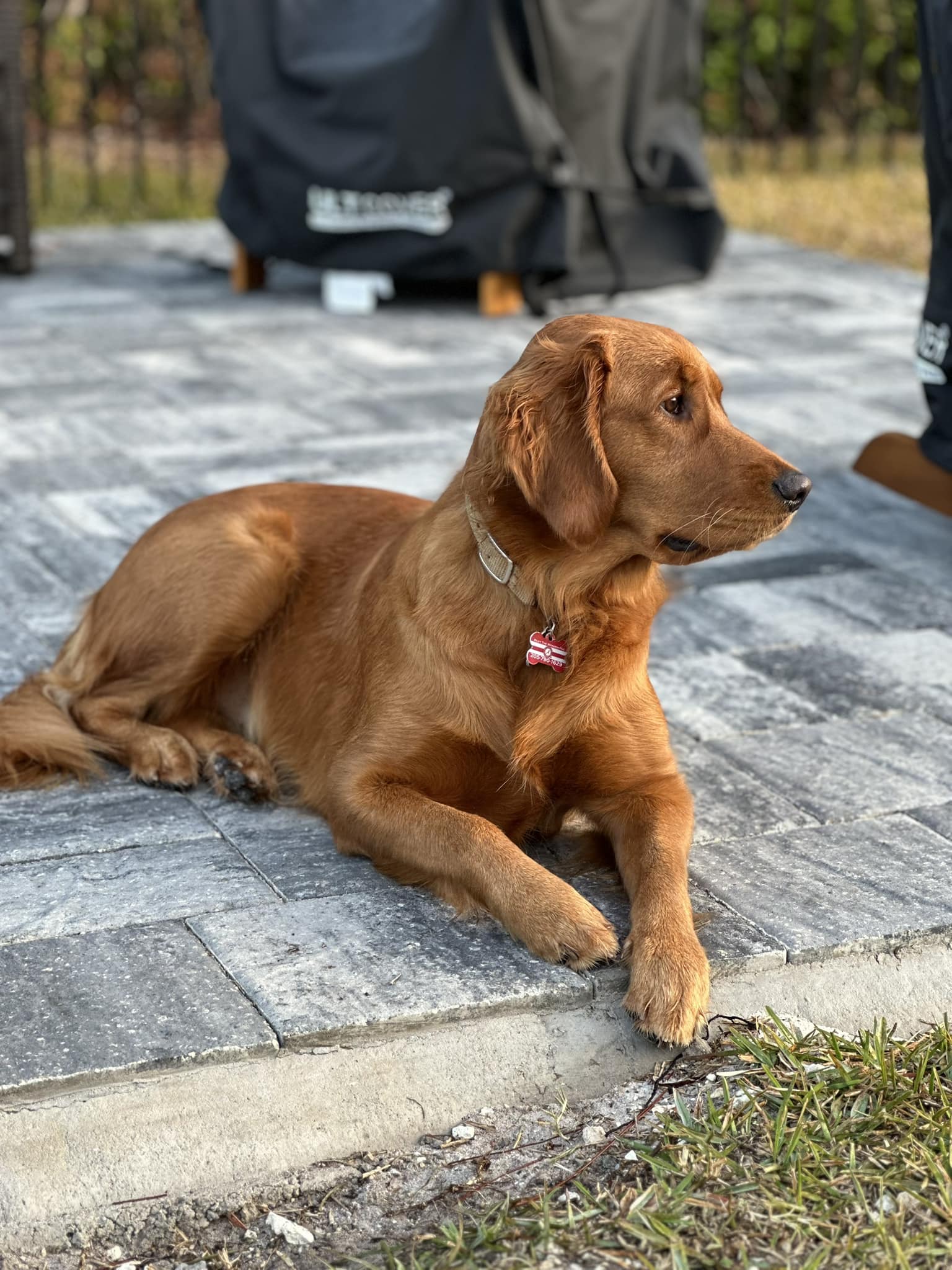 Riley’s Best Day Ever – Thu Jan 25, 2024