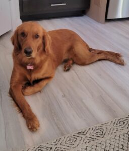 Riley’s Best Day Ever – Fri Jan 26, 2024