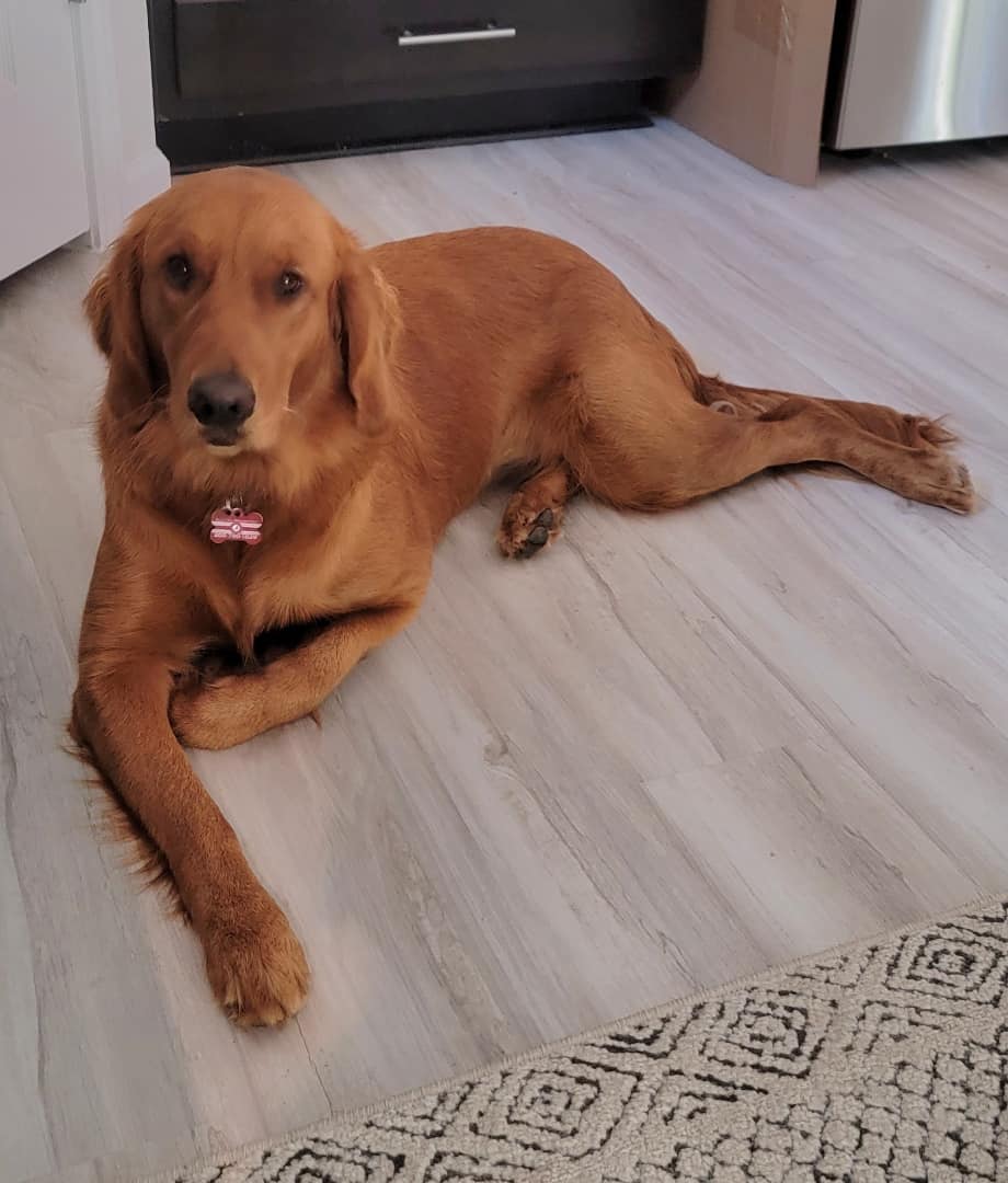 Riley’s Best Day Ever – Fri Jan 26, 2024