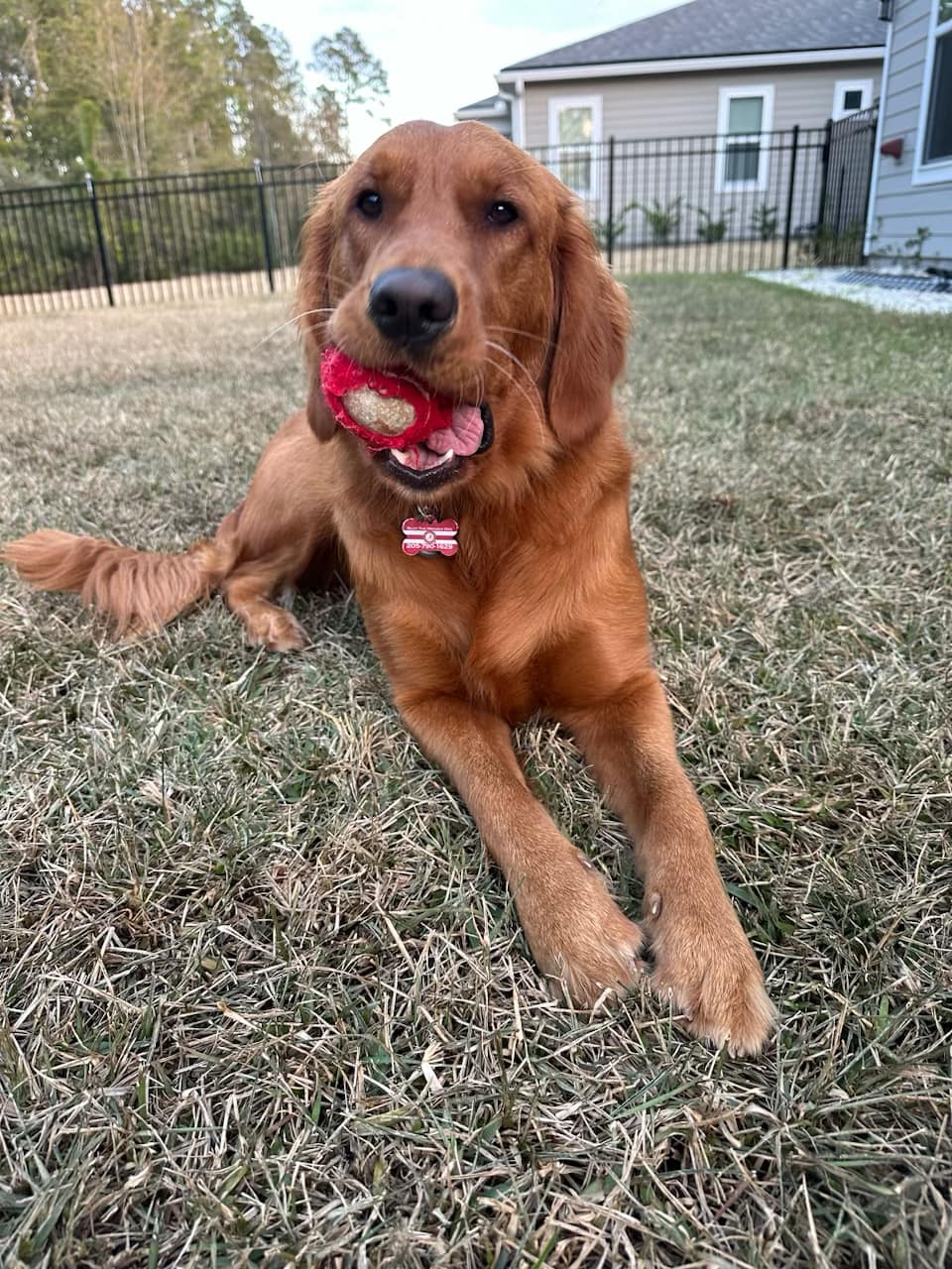 Riley’s Best Day Ever – Sun Jan 28, 2024
