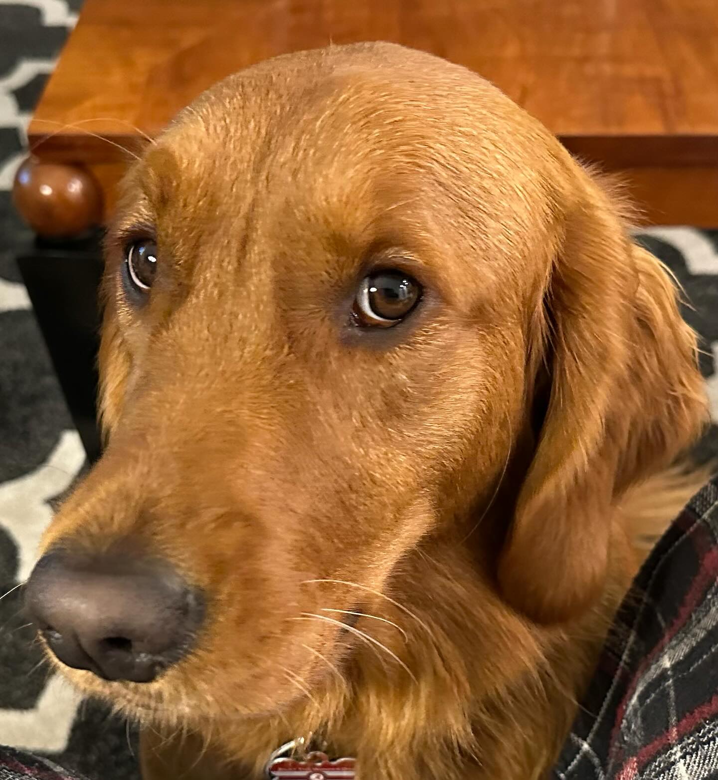 Riley’s Best Day Ever – Mon Jan 29, 2024