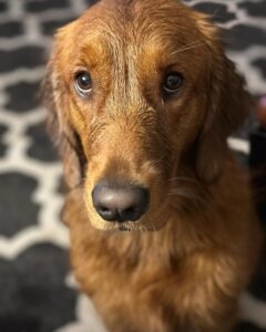 Riley’s Best Day Ever – Tue Jan 30, 2024